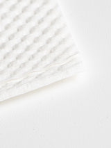 eminas kitchen paper "Instant dry dryness" 100 sets (2 stacks)